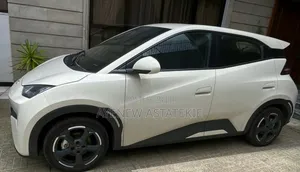 New BYD Seagull 2024 White