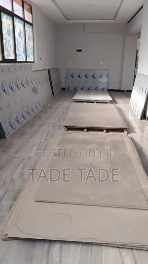 Alula Brand Stianless Steel Lamera