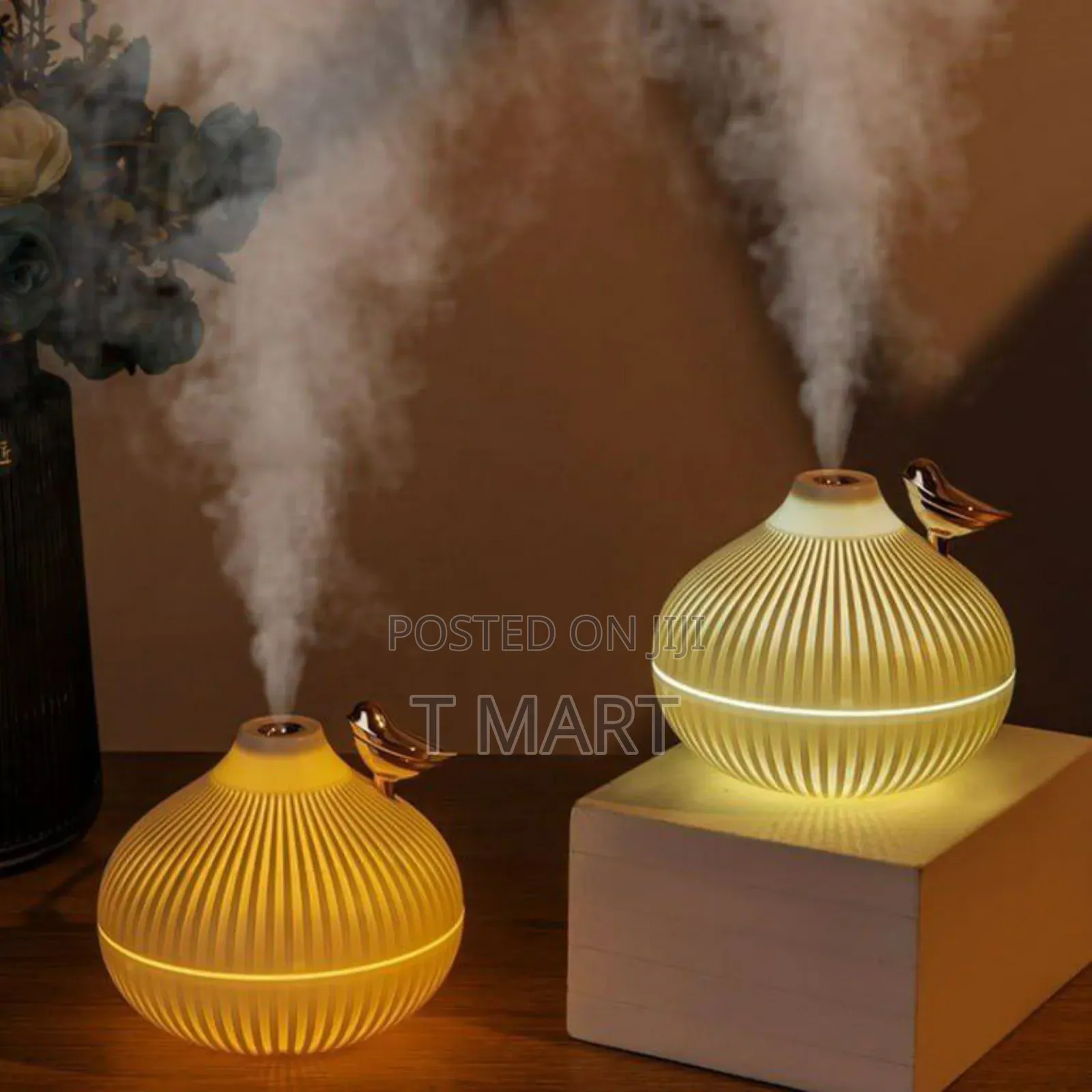Onion Air Humidifier