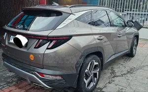 Hyundai Tucson 2021 Brown