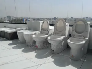 China Branded Toilet Seats