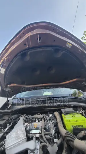 Toyota C-HR 2017 Brown