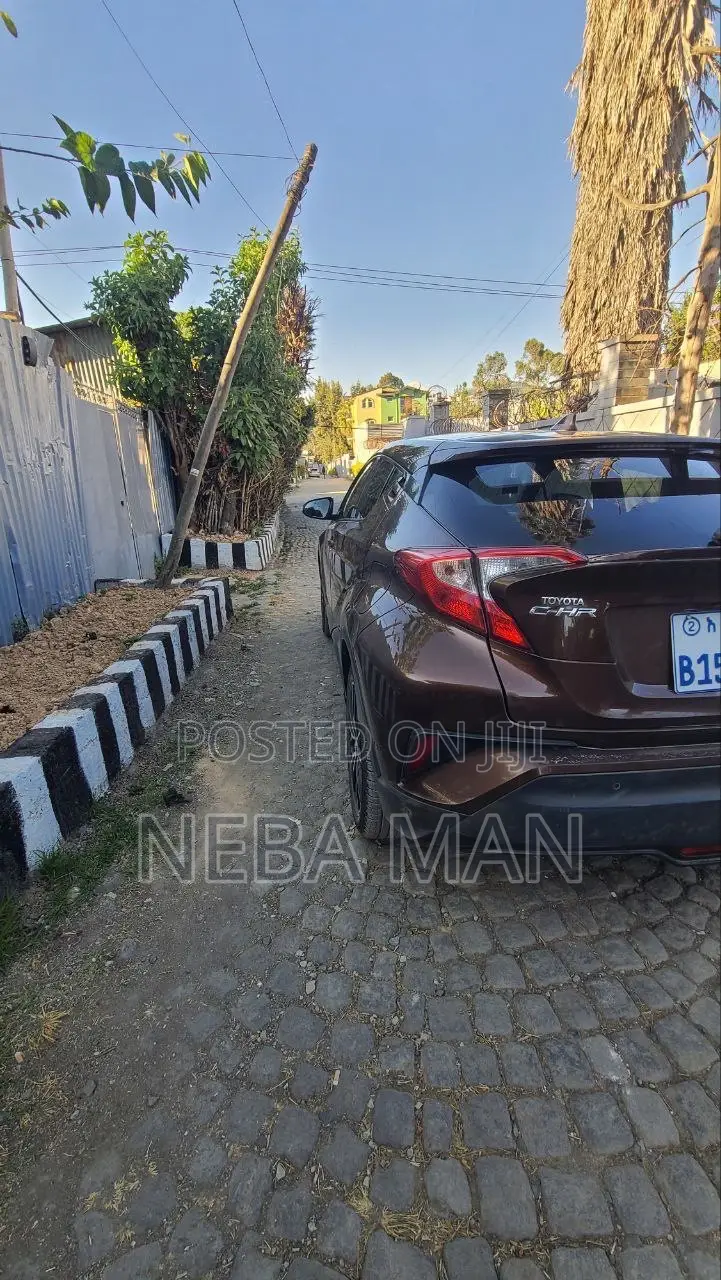 Toyota C-HR 2017 Brown