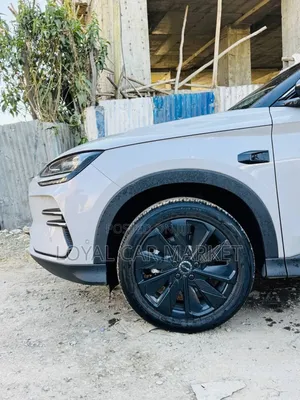 BYD Song Plus 2025 Gray