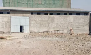 3bdrm House in Akaky Kaliti for sale