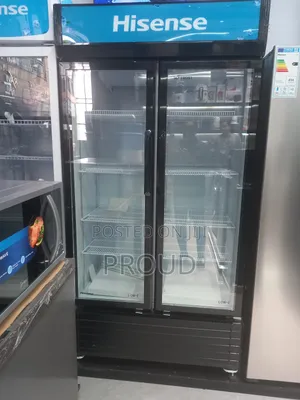 Hisense Two Door Display Frige