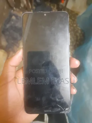 Nokia 2.4 64 GB Silver