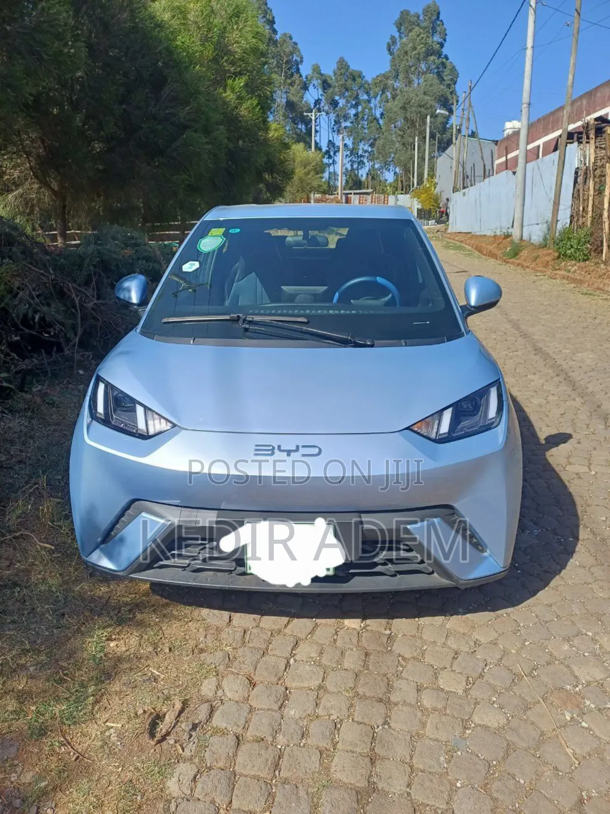 BYD Seagull 2024 Green