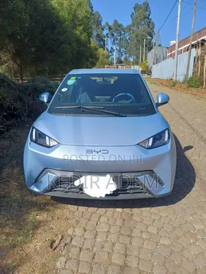 BYD Seagull 2024 Green