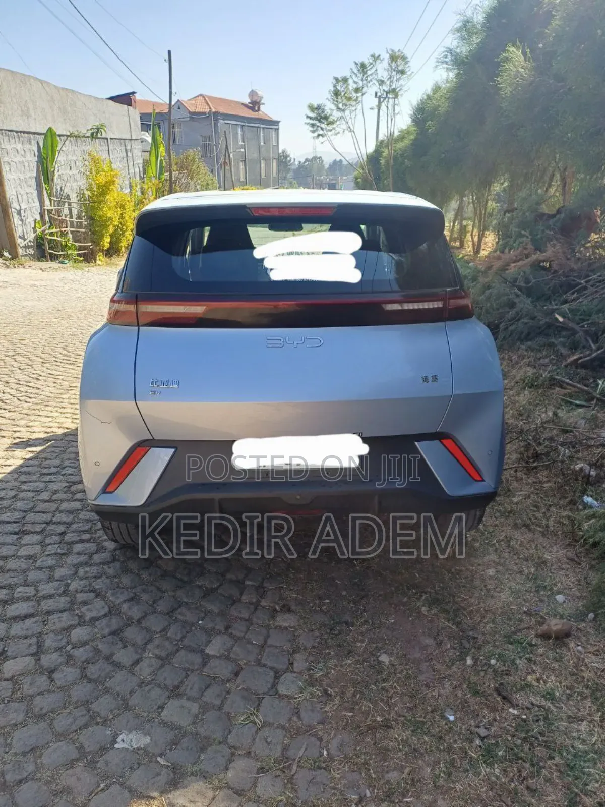 BYD Seagull 2024 Green