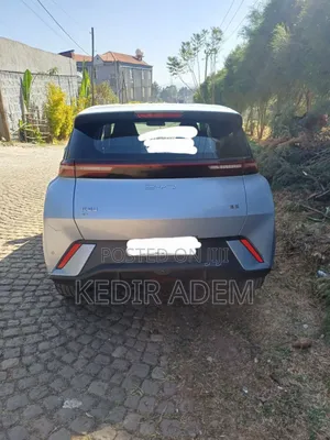 BYD Seagull 2024 Green