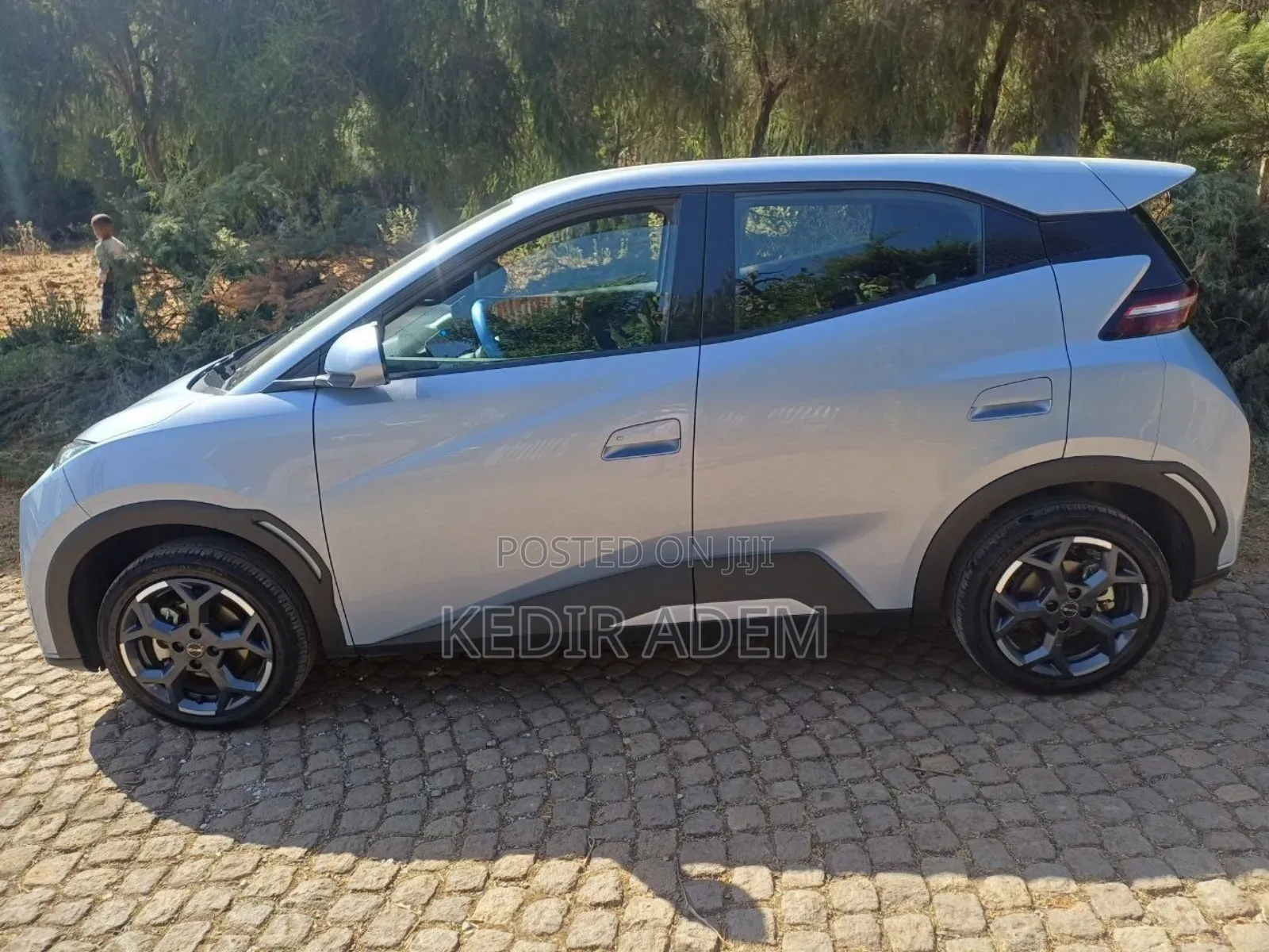 BYD Seagull 2024 Green