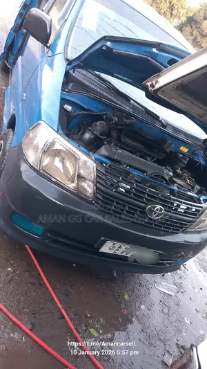 Toyota HiAce 2008 Blue