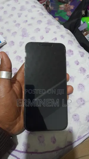 Apple iPhone 13 Pro Max 1 TB