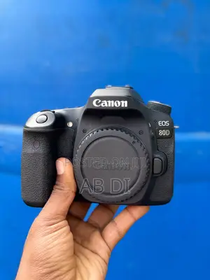 Camera Canon 80d With Lens 18-135mm Usm Brand New With Full