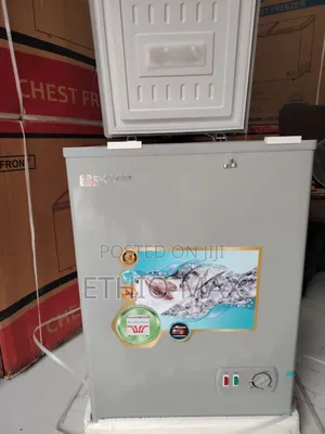 Everest Chest Freezer 170 – Original | Fast Freezing | Energy Saver