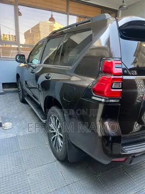 Toyota Land Cruiser 2019 Brown