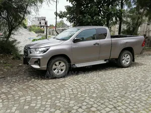 Toyota Hilux Revo Single Cab Deisel 2.8 AWD 2020 Brown
