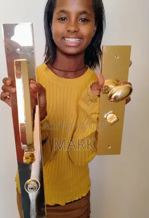 Beautiful Gold Door Entry Set