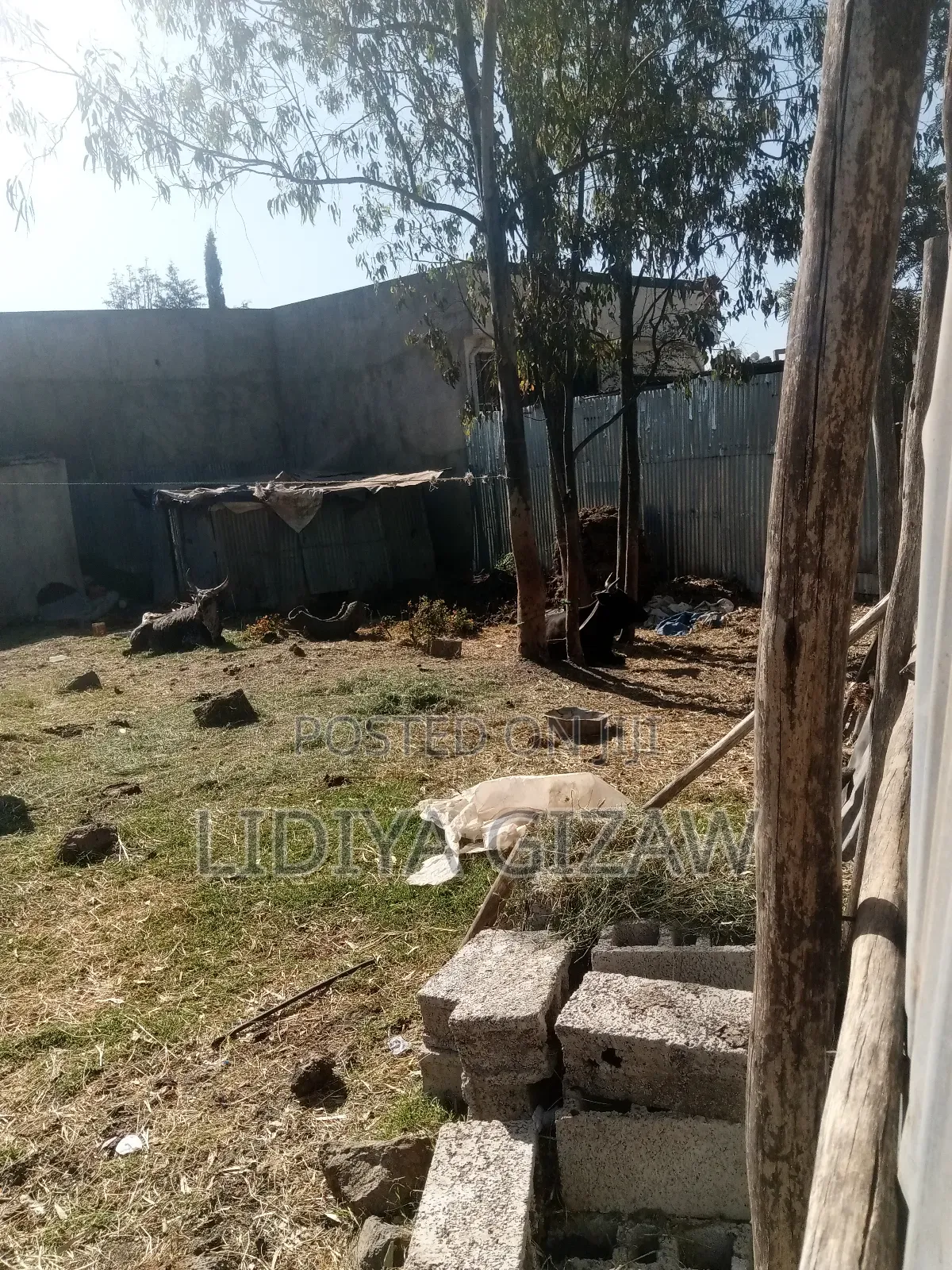 1bdrm House in Akaky Kaliti for sale