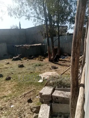 1bdrm House in Akaky Kaliti for sale