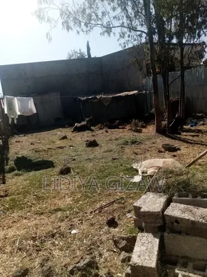 1bdrm House in Akaky Kaliti for sale