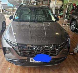 Hyundai Tucson 2021 Gray