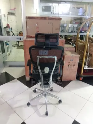 Ergonomic Chair