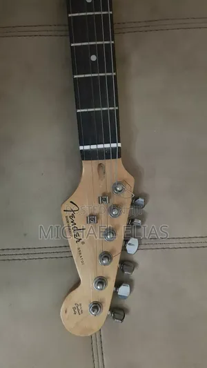 Fender Stratocaster Made In Mexico From The Us