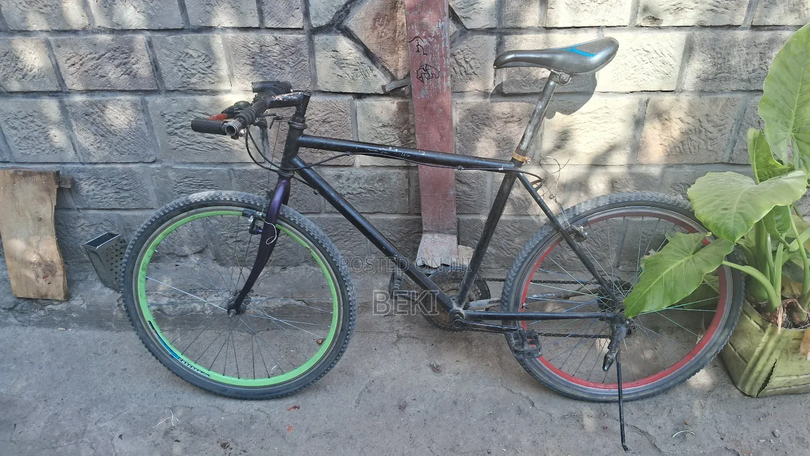 Used Cycle