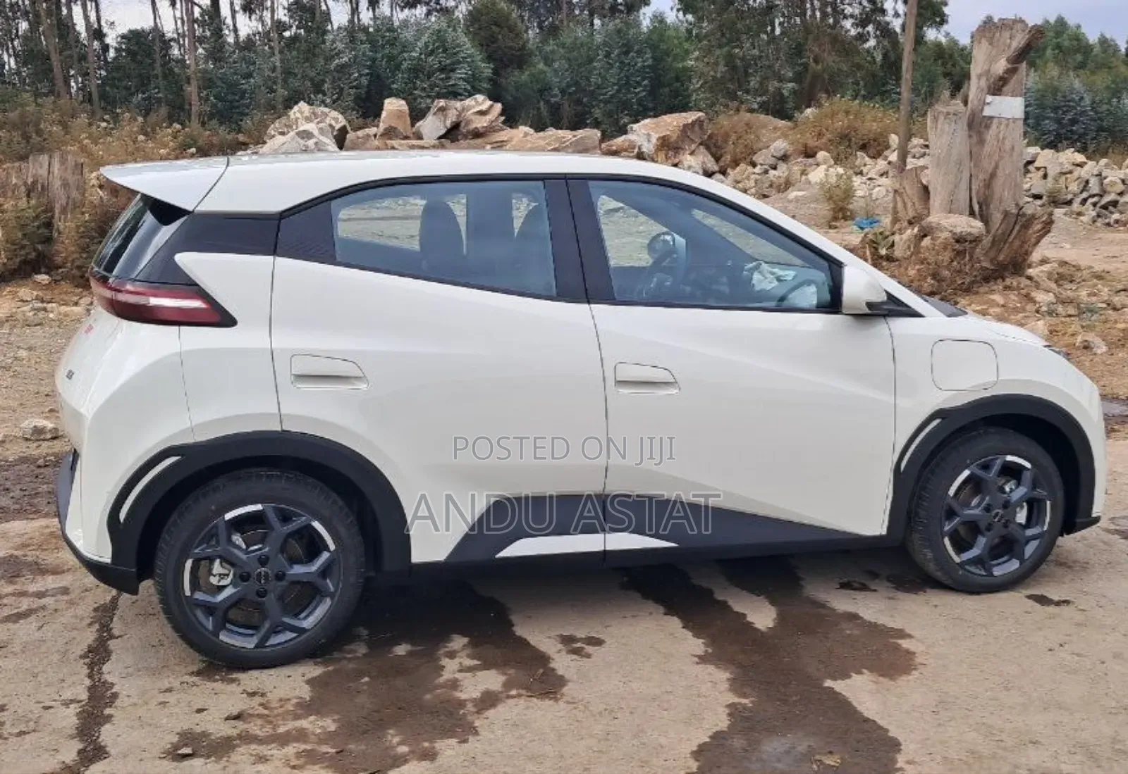 BYD Seagull 2025 Gold