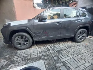 New Toyota RAV4 TRD Off Road AWD 2024 Gray