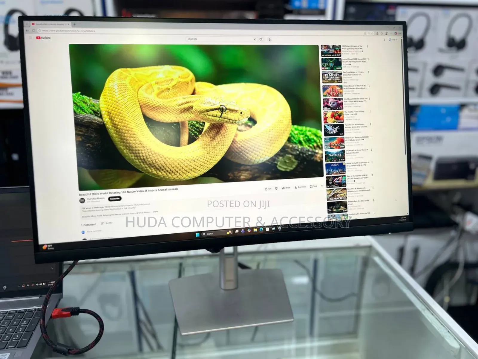 Dell Monitor