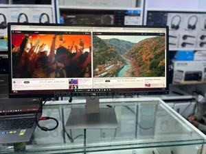 Dell 29 Inch Monitor