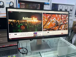 Dell 29 Inch Monitor