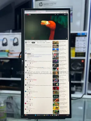 Dell 29 Inch Monitor