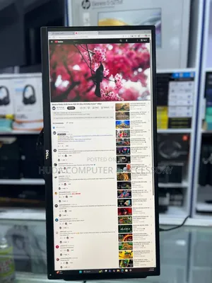 Dell 29 Inch Monitor