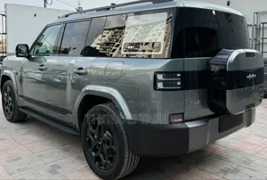 BYD Leopard 7 2025 Gray