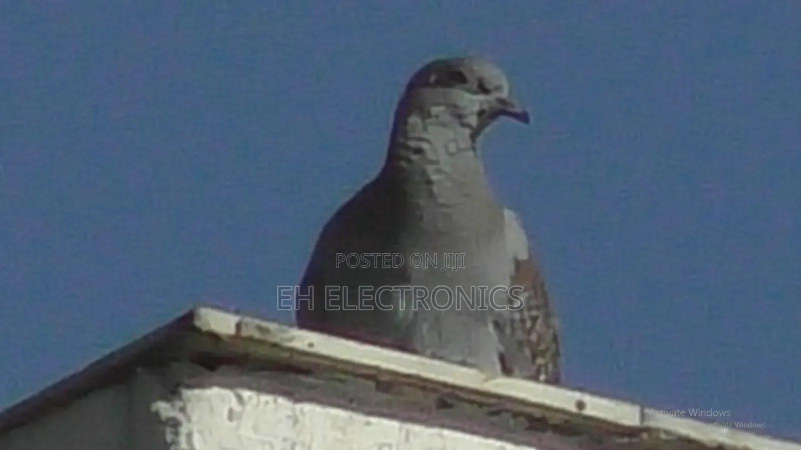 Panasonic Camera 1500x Zoom + 56,800mah Powerbank