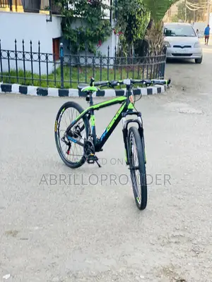 Phoenix Bicycle 26 Inch