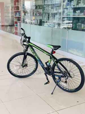 Phoenix Bicycle 26 Inch