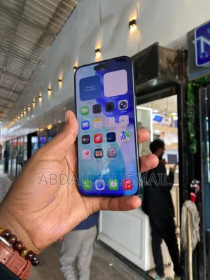 New Apple iPhone 15 Pro Max 256 GB Gray