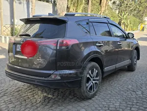 Toyota RAV4 2017 Brown