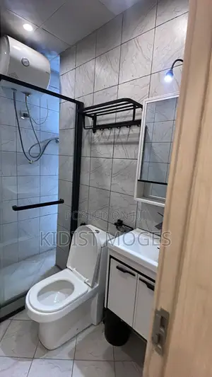 Furnished 1bdrm Apartment in Bole for rent
