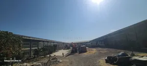 የሚሸጥ መጋዘን for Sel