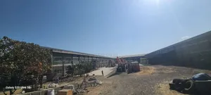 የሚሸጥ መጋዘን for Sel