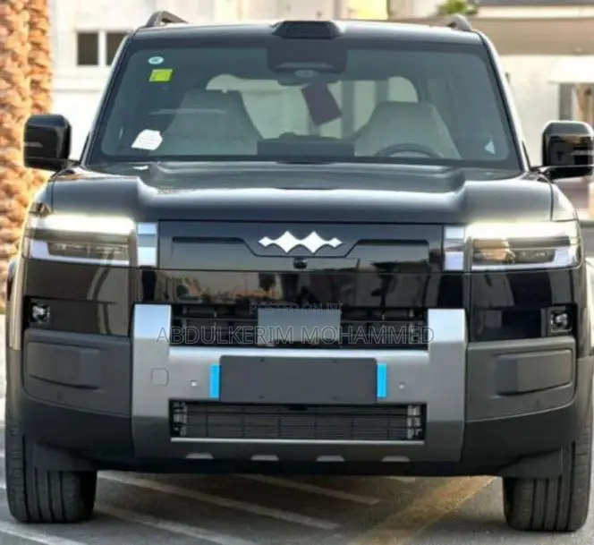 New BYD Leopard 7 2025 Gray