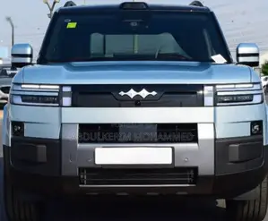 New BYD Leopard 7 2025 Gray