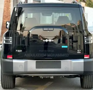 New BYD Leopard 7 2025 Gray