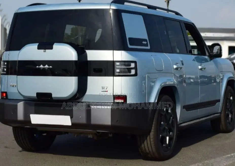 New BYD Leopard 7 2025 Gray